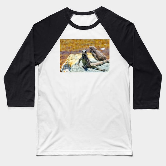 Iguanas Sunning on Rocks in St. Thomas Baseball T-Shirt by jillnightingale